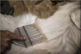 微信圖片_20171122160337