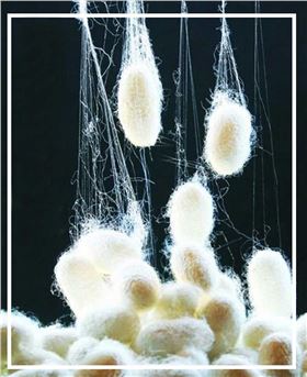 真絲圍巾的價格——真絲圍巾、真絲絲巾、圍巾定制